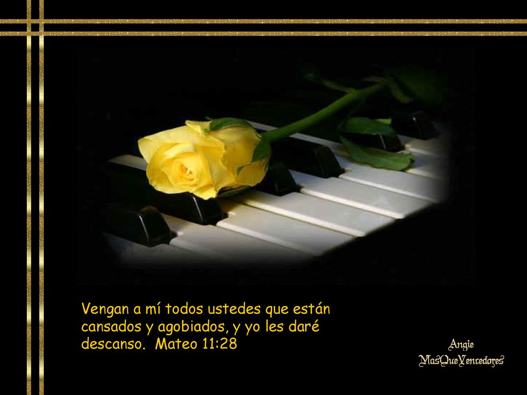 Vengan a mí todos ustedes que están cansados y agobiados, y yo les daré descanso. Mateo 11:28