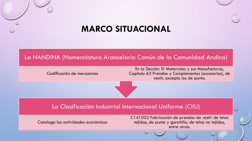 MARCO SITUACIONAL La Clasificación Industrial Internacional Uniforme (CIIU) Cataloga las actividades económicas.
