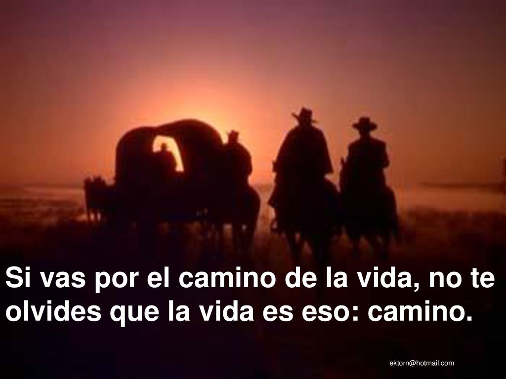 Si vas por el camino de la vida, no te olvides que la vida es eso: camino.