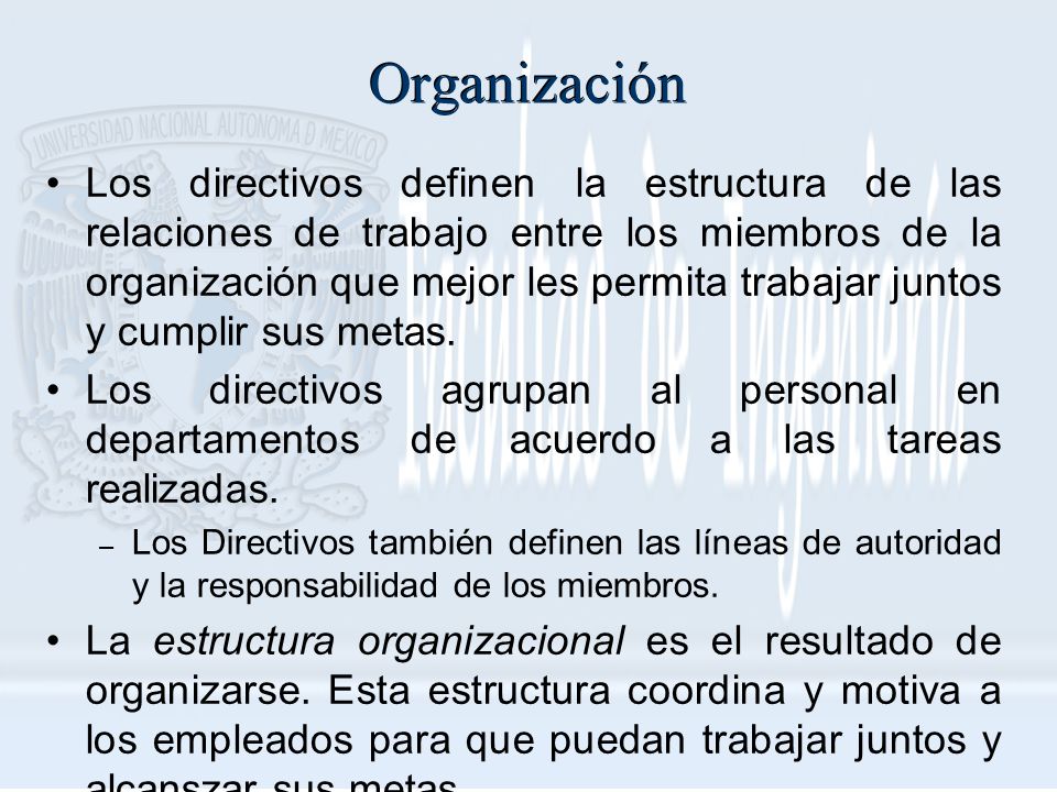 Organización