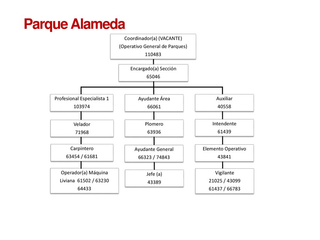 Parque Alameda Coordinador(a) (VACANTE) (Operativo General de Parques)