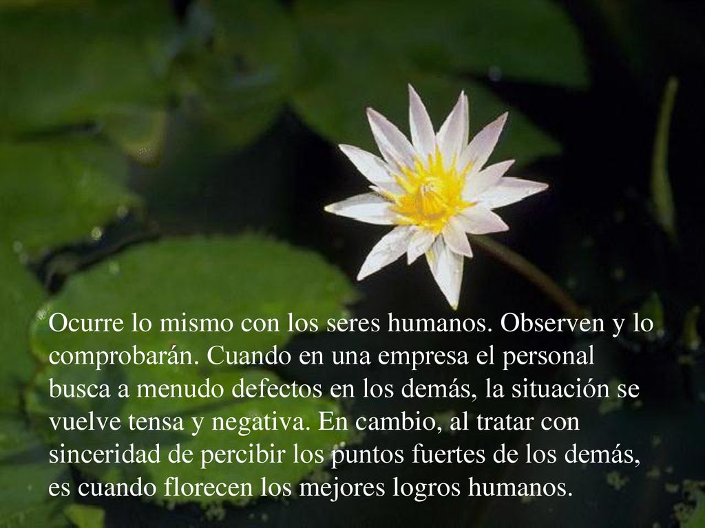 Ocurre lo mismo con los seres humanos. Observen y lo comprobarán