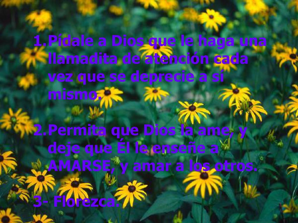 Pídale a Dios que le haga una llamadita de atención cada vez que se deprecie a sí mismo.