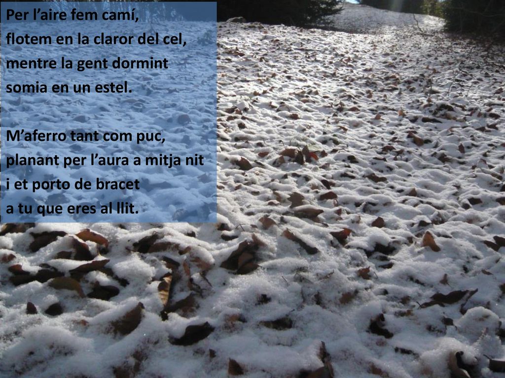 Per l’aire fem camí, flotem en la claror del cel, mentre la gent dormint. somia en un estel. M’aferro tant com puc,