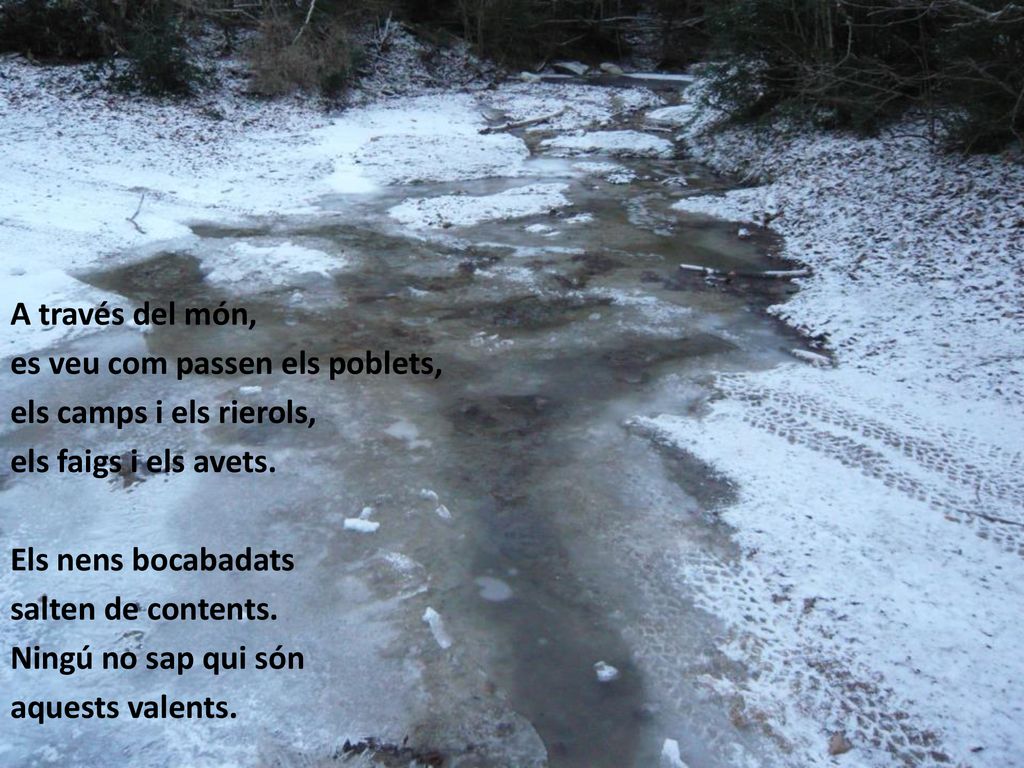 A través del món, es veu com passen els poblets, els camps i els rierols, els faigs i els avets. Els nens bocabadats.