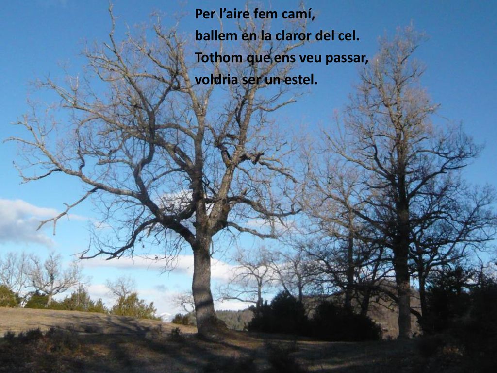 Per l’aire fem camí, ballem en la claror del cel. Tothom que ens veu passar, voldria ser un estel.