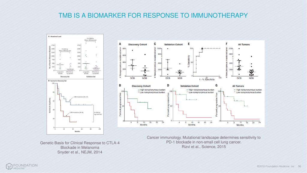 TMB IS A BIOMARKER FOR RESPONSE TO IMMUNOTHERAPY