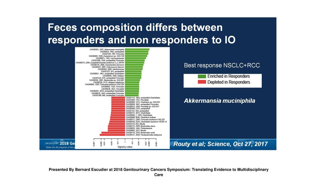 Feces composition differs between responders and non responders to IO