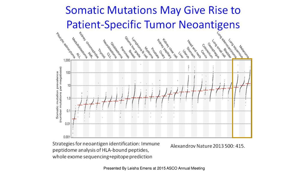 Somatic Mutations May Give Rise to Patient-Specific Tumor Neoantigens