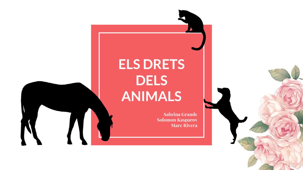 ELS DRETS DELS ANIMALS Sabrina Grande Solomon Kasparov Marc Rivera