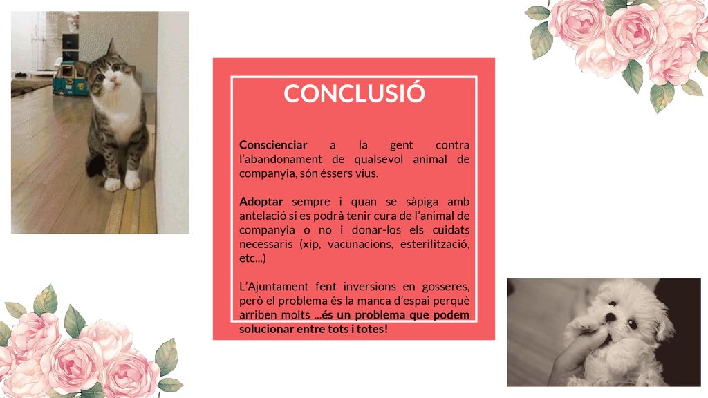 CONCLUSIÓ Conscienciar a la gent contra l’abandonament de qualsevol animal de companyia, són éssers vius.