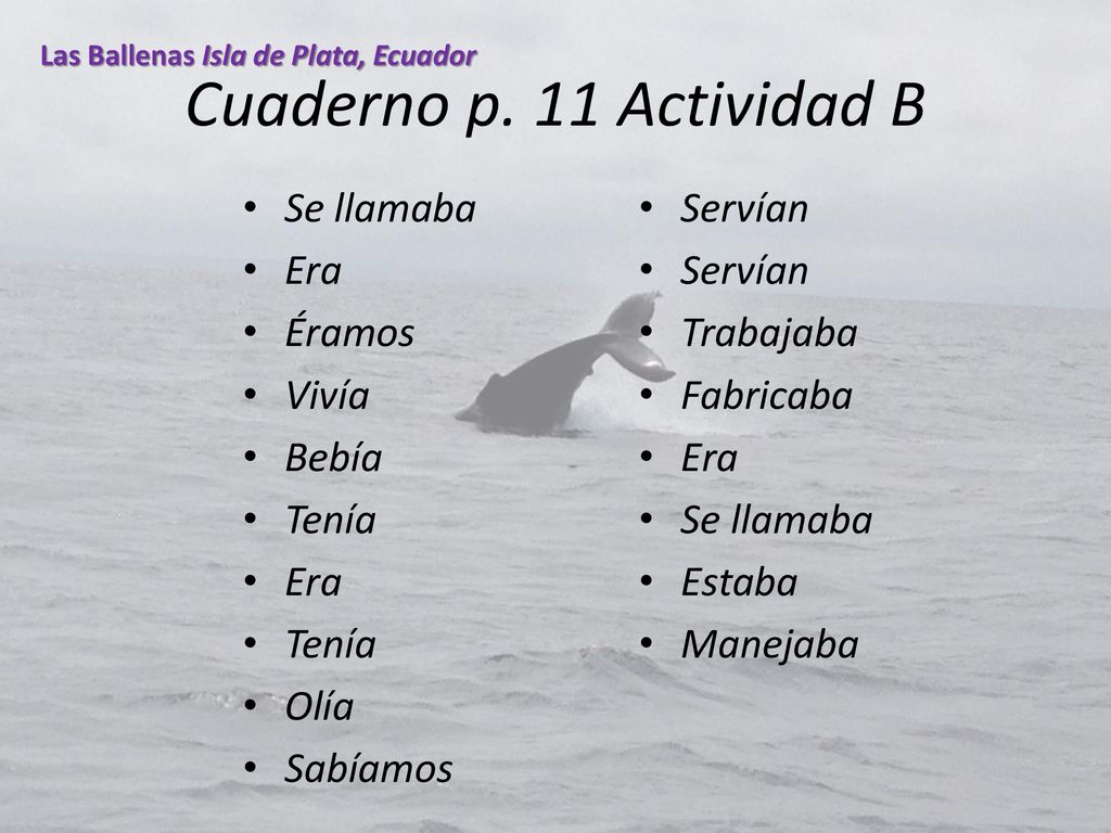 Cuaderno p. 11 Actividad B Se llamaba Servían Era Éramos Trabajaba
