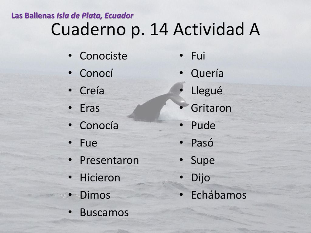 Cuaderno p. 14 Actividad A Conociste Fui Conocí Quería Creía Llegué