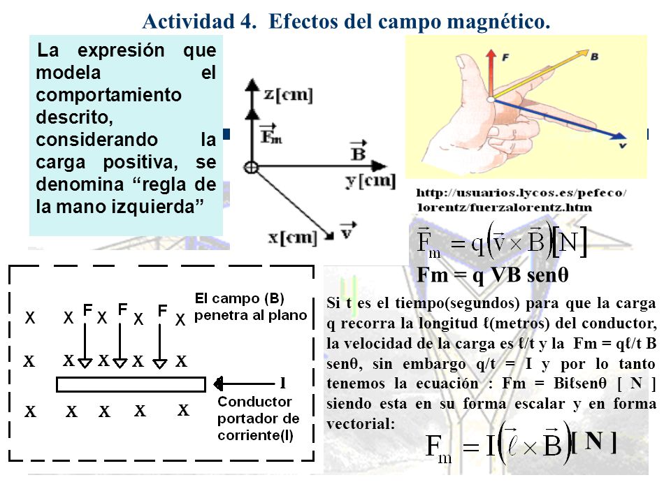 Actividad 4. Efectos del campo magnético.