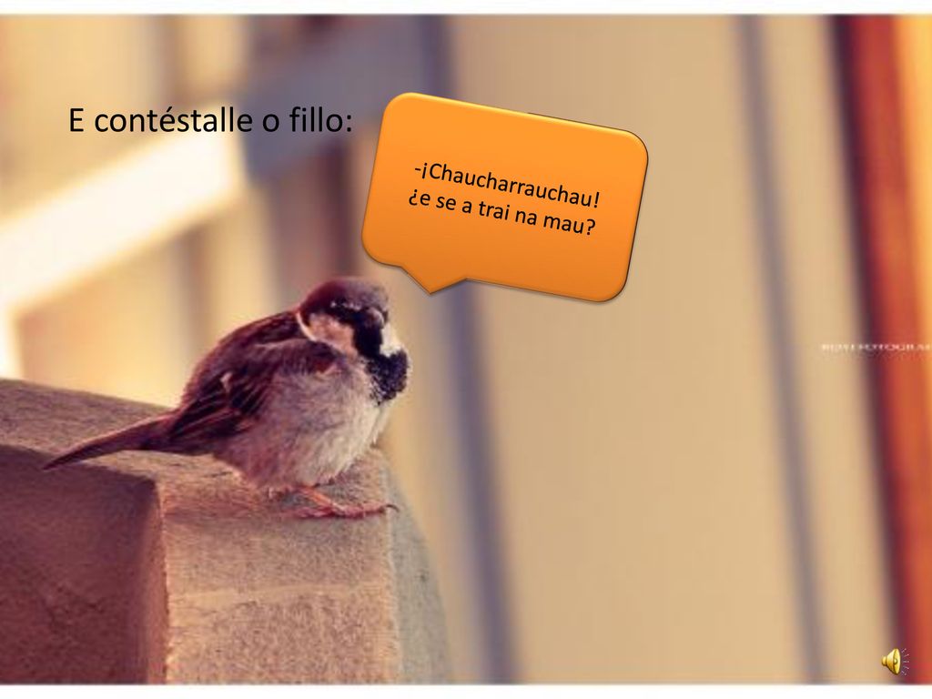 E contéstalle o fillo: -¡Chaucharrauchau! ¿e se a trai na mau
