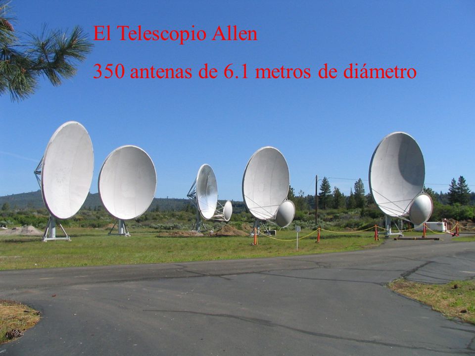 El Telescopio Allen 350 antenas de 6.1 metros de diámetro