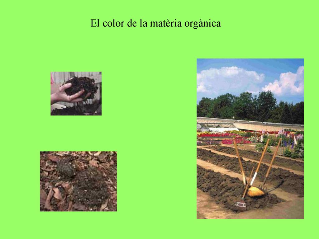 El color de la matèria orgànica