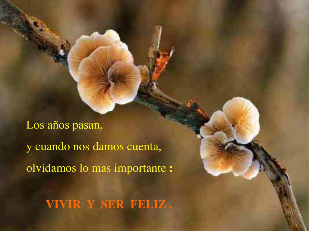 Los años pasan, y cuando nos damos cuenta, olvidamos lo mas importante : VIVIR Y SER FELIZ .