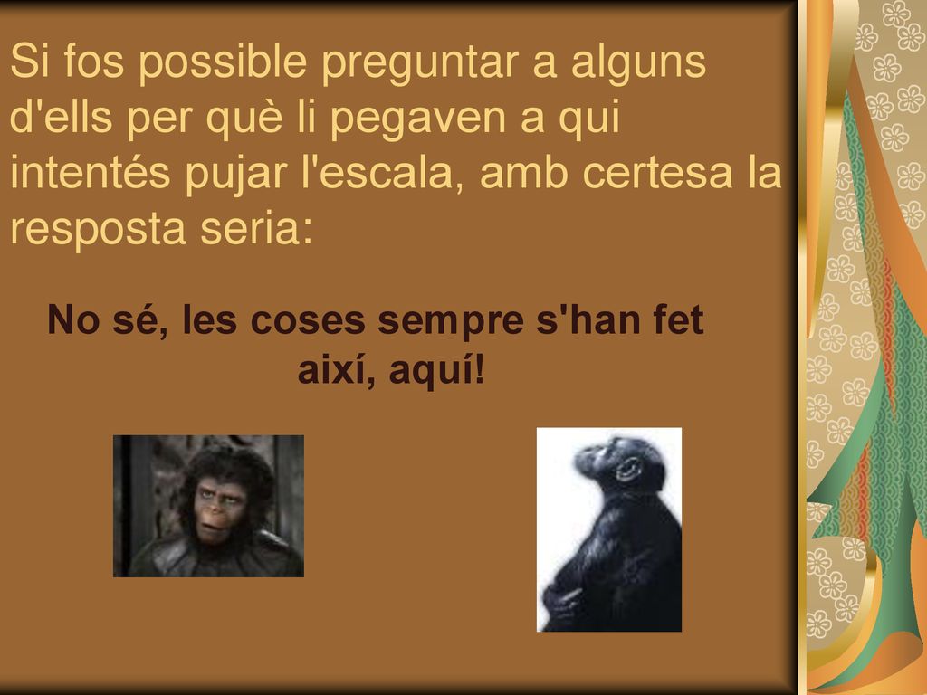 No sé, les coses sempre s han fet així, aquí!