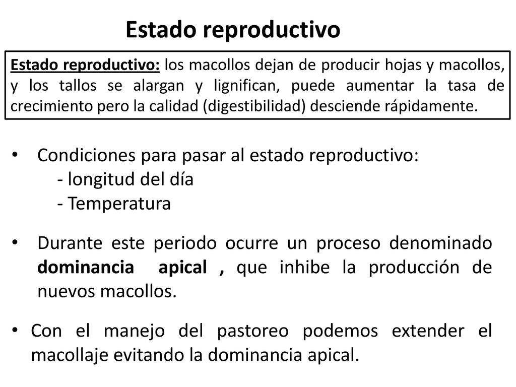 Estado reproductivo Condiciones para pasar al estado reproductivo: