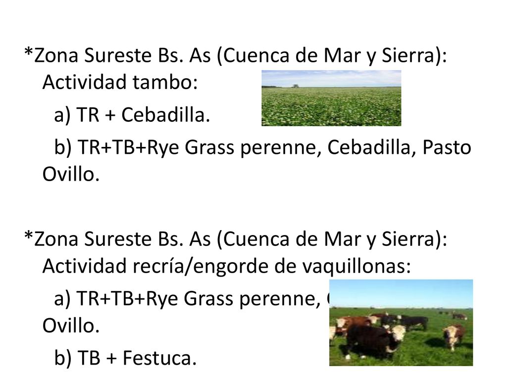 *Zona Sureste Bs. As (Cuenca de Mar y Sierra): Actividad tambo: