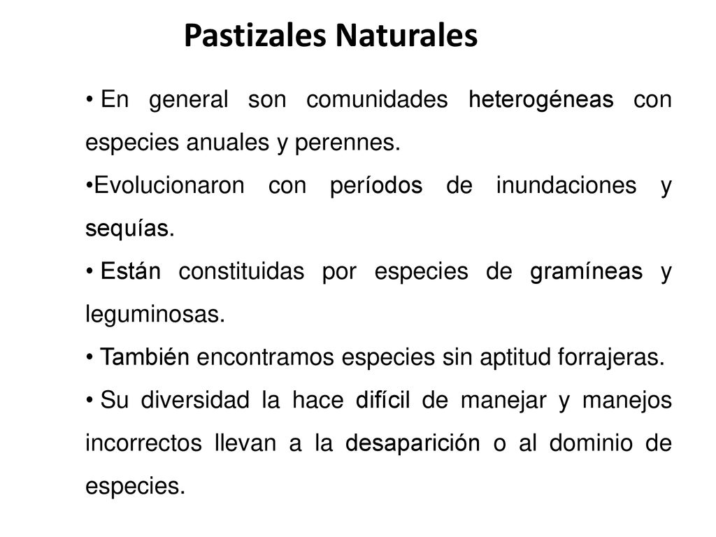 Pastizales Naturales En general son comunidades heterogéneas con especies anuales y perennes. Evolucionaron con períodos de inundaciones y sequías.