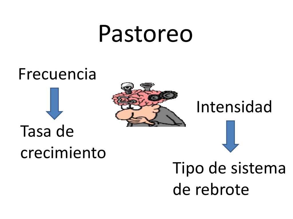 Pastoreo Frecuencia Intensidad Tasa de crecimiento Tipo de sistema
