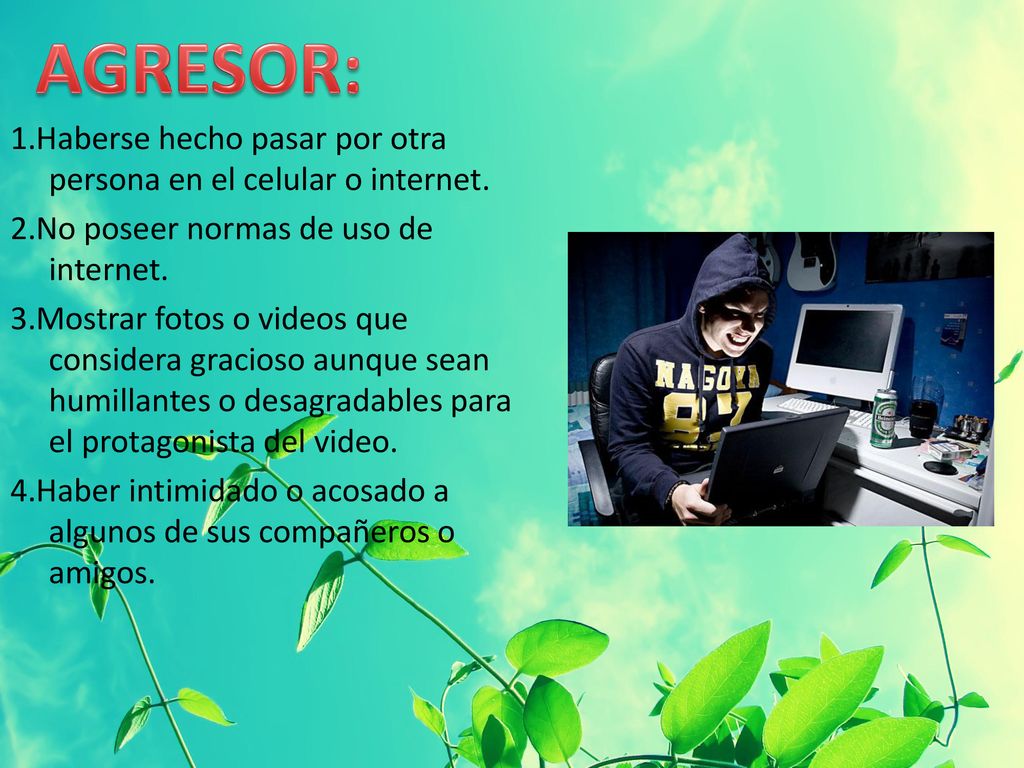 AGRESOR: 1.Haberse hecho pasar por otra persona en el celular o internet. 2.No poseer normas de uso de internet.