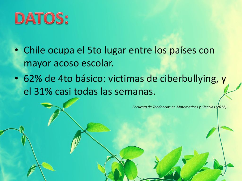 DATOS: Chile ocupa el 5to lugar entre los países con mayor acoso escolar.