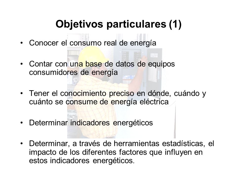Objetivos particulares (1)