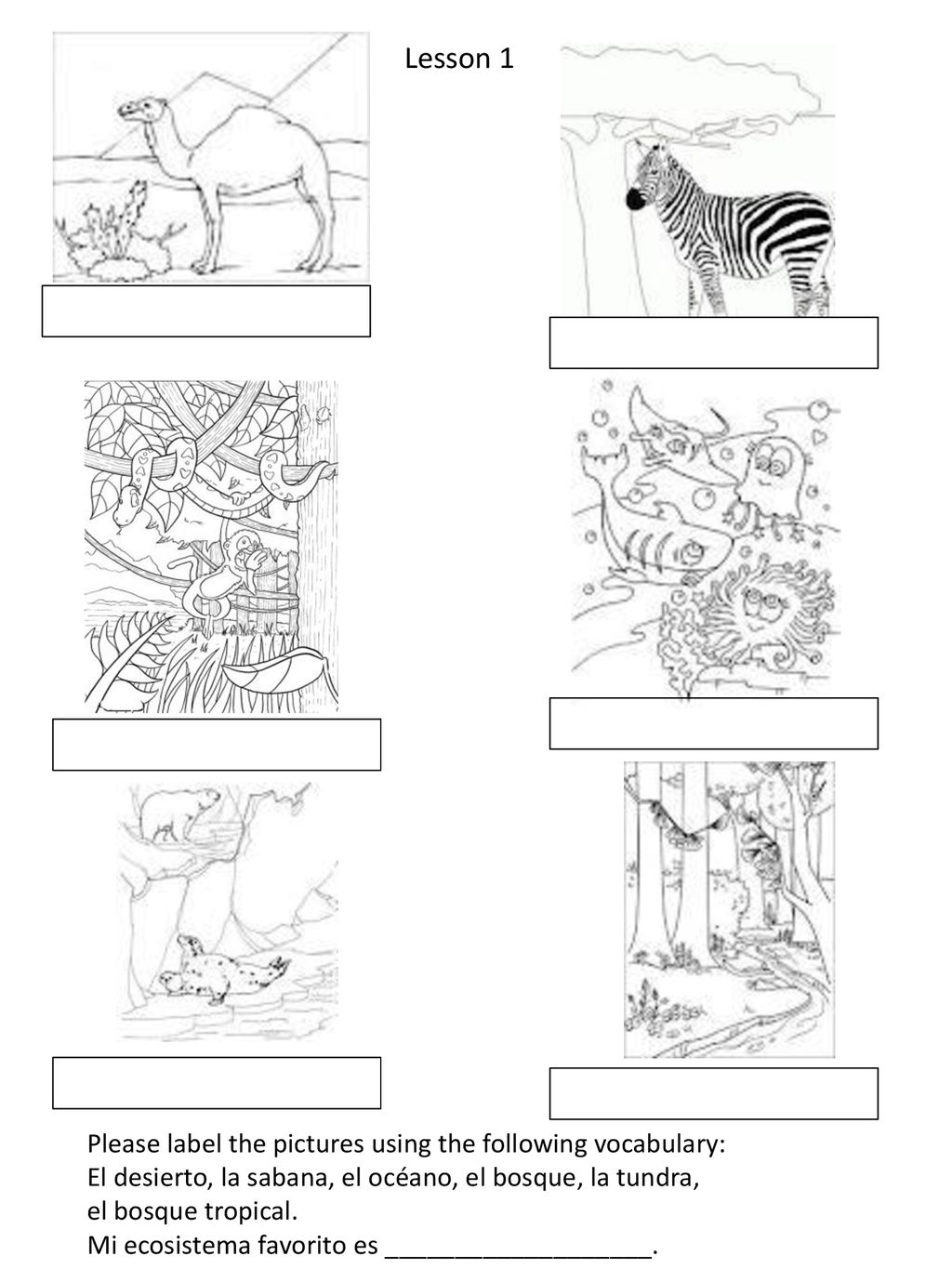 Lesson 1 Please label the pictures using the following vocabulary: