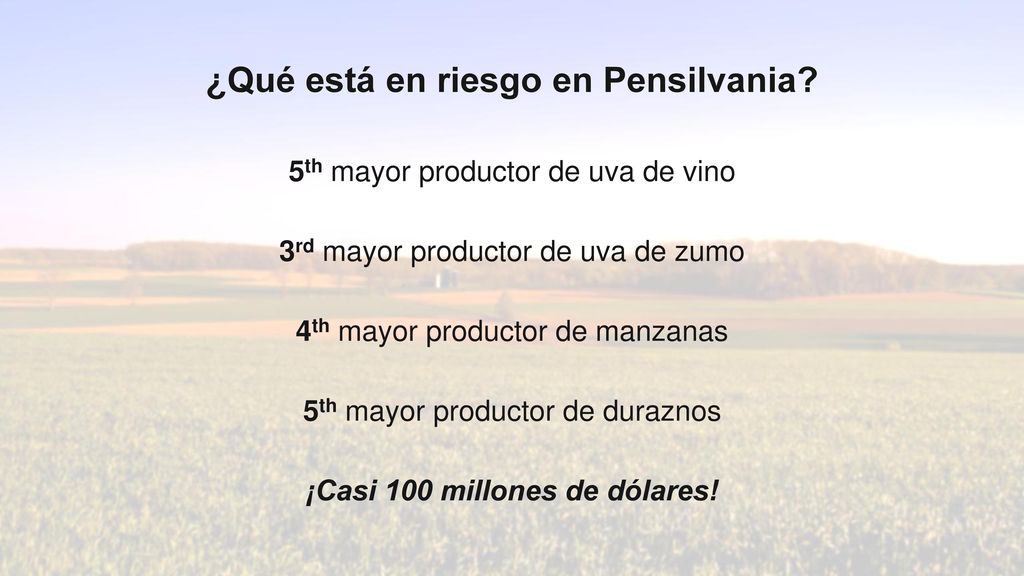 ¿Qué está en riesgo en Pensilvania ¡Casi 100 millones de dólares!