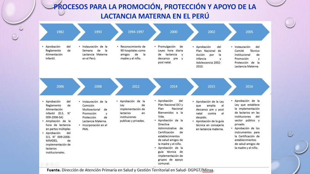 PROCESOS PARA LA PROMOCIÓN, PROTECCIÓN Y APOYO DE LA LACTANCIA MATERNA EN EL PERÚ