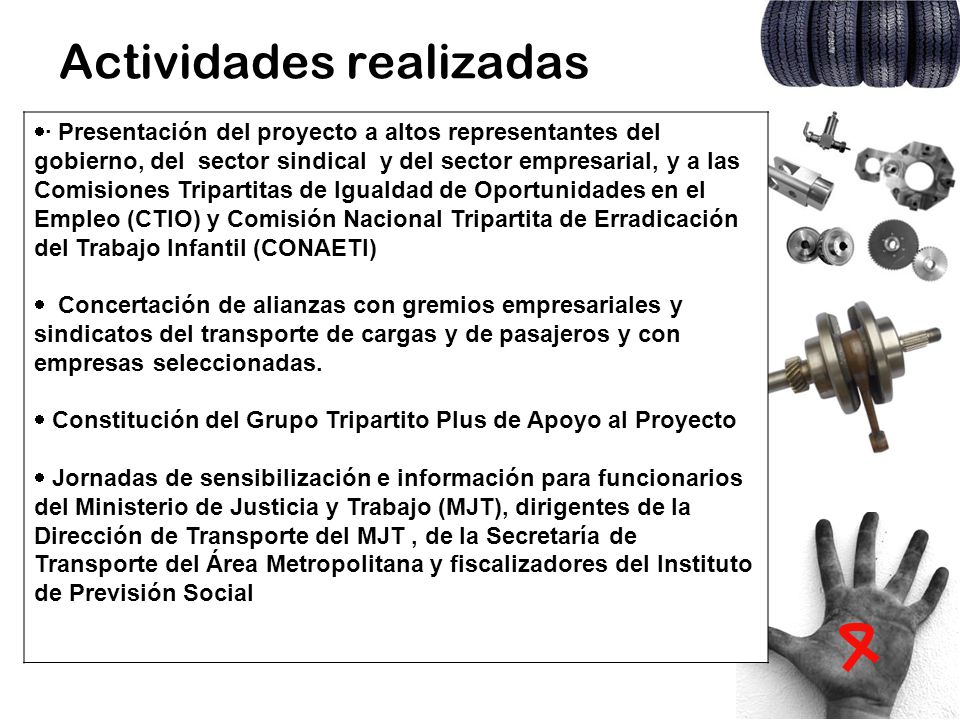 Actividades realizadas