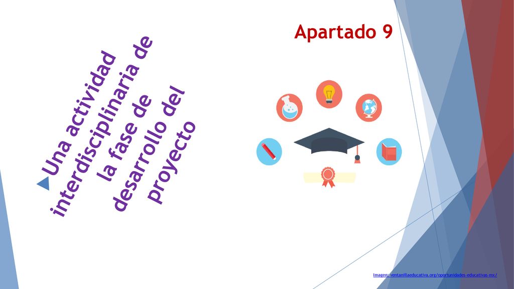 Una actividad interdisciplinaria de la fase de desarrollo del proyecto