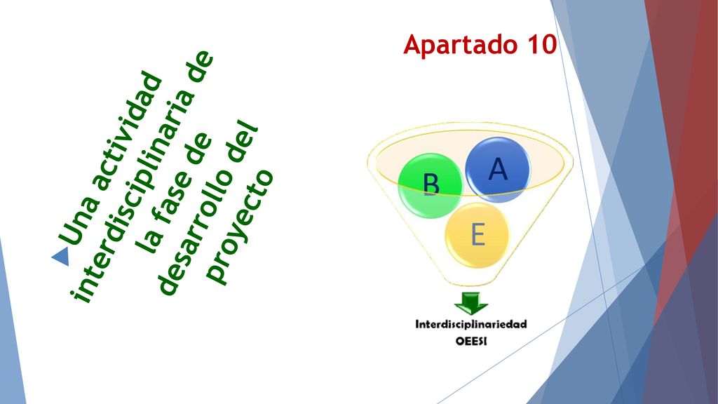 Una actividad interdisciplinaria de la fase de desarrollo del proyecto