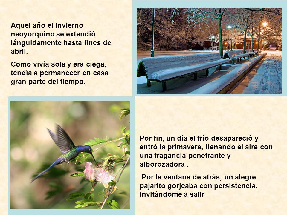 Aquel año el invierno neoyorquino se extendió lánguidamente hasta fines de abril.