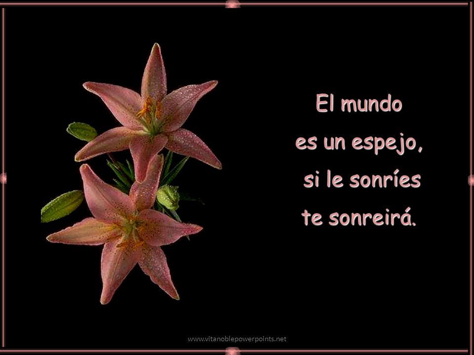 El mundo es un espejo, si le sonríes te sonreirá.