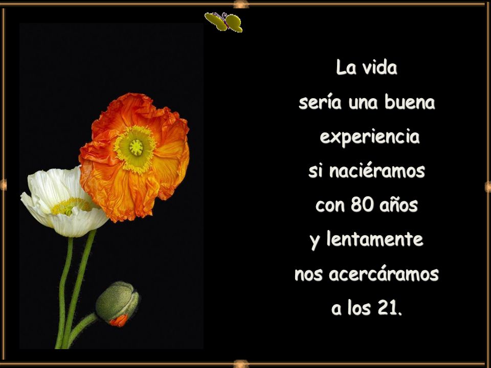La vida sería una buena. experiencia. si naciéramos. con 80 años. y lentamente. nos acercáramos.