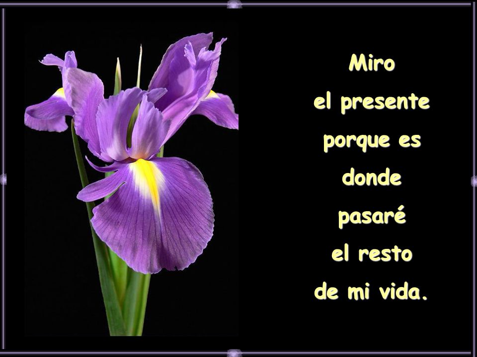 Miro el presente porque es donde pasaré el resto de mi vida.