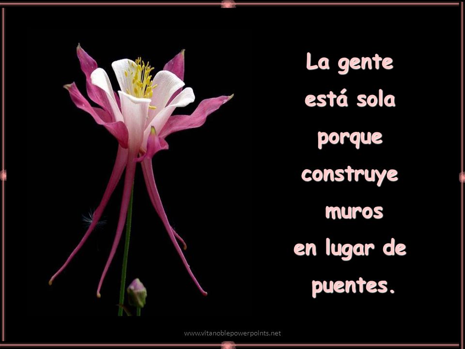 La gente está sola porque construye muros en lugar de