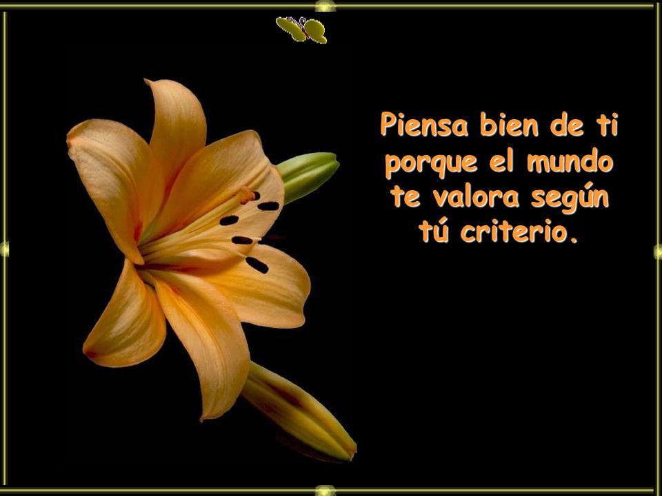 Piensa bien de ti porque el mundo te valora según tú criterio.