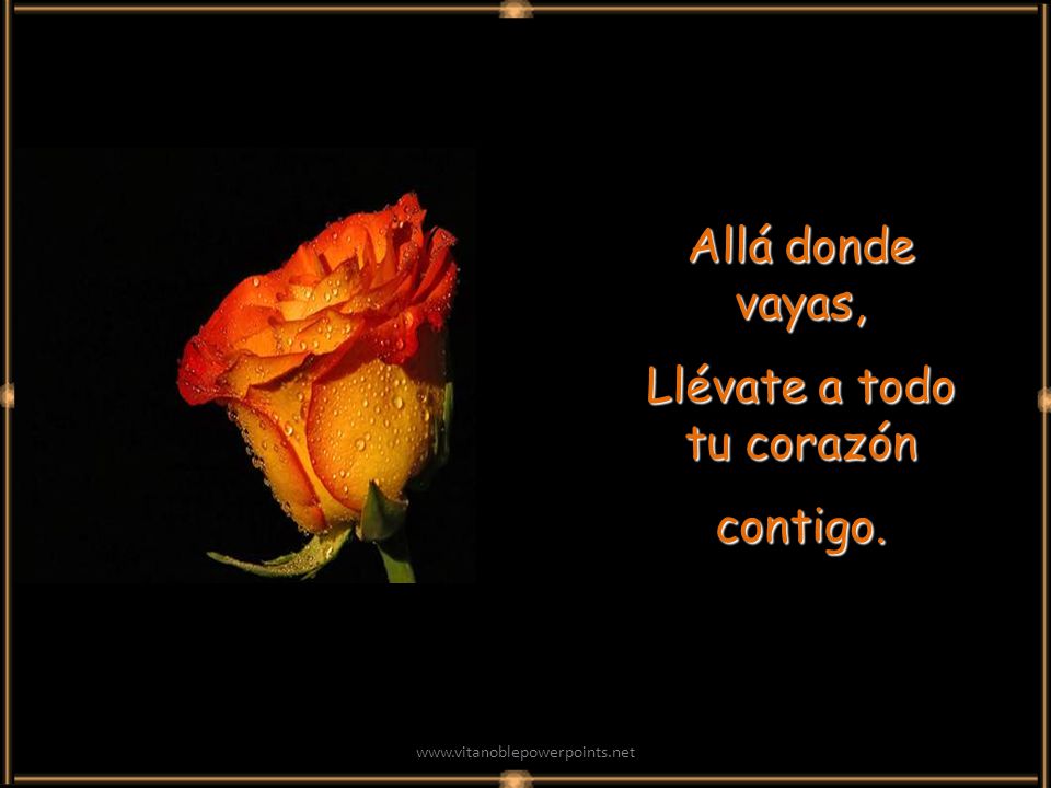Llévate a todo tu corazón