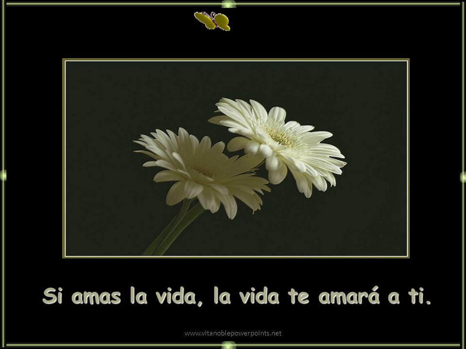Si amas la vida, la vida te amará a ti.