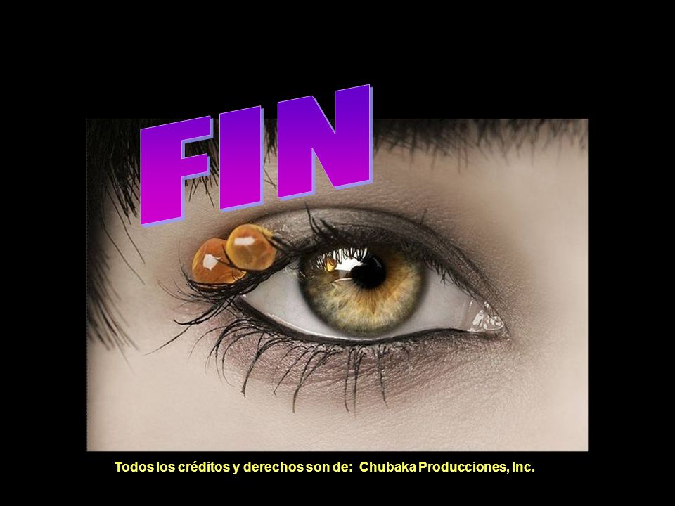 FIN FIN Todos los créditos y derechos son de: Chubaka Producciones, Inc.