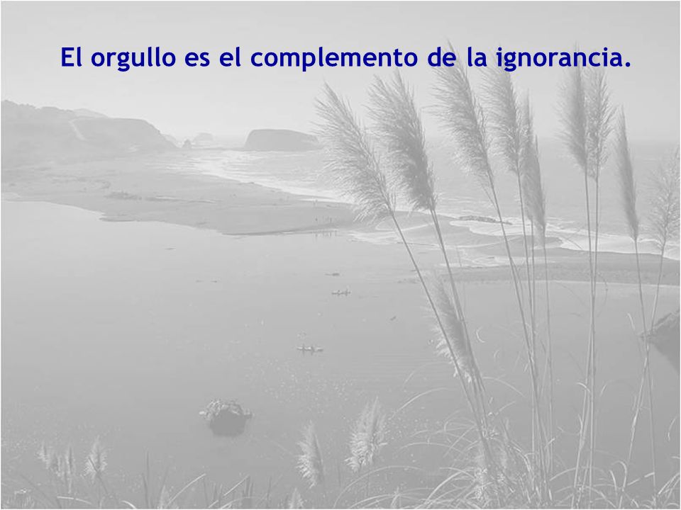 El orgullo es el complemento de la ignorancia.