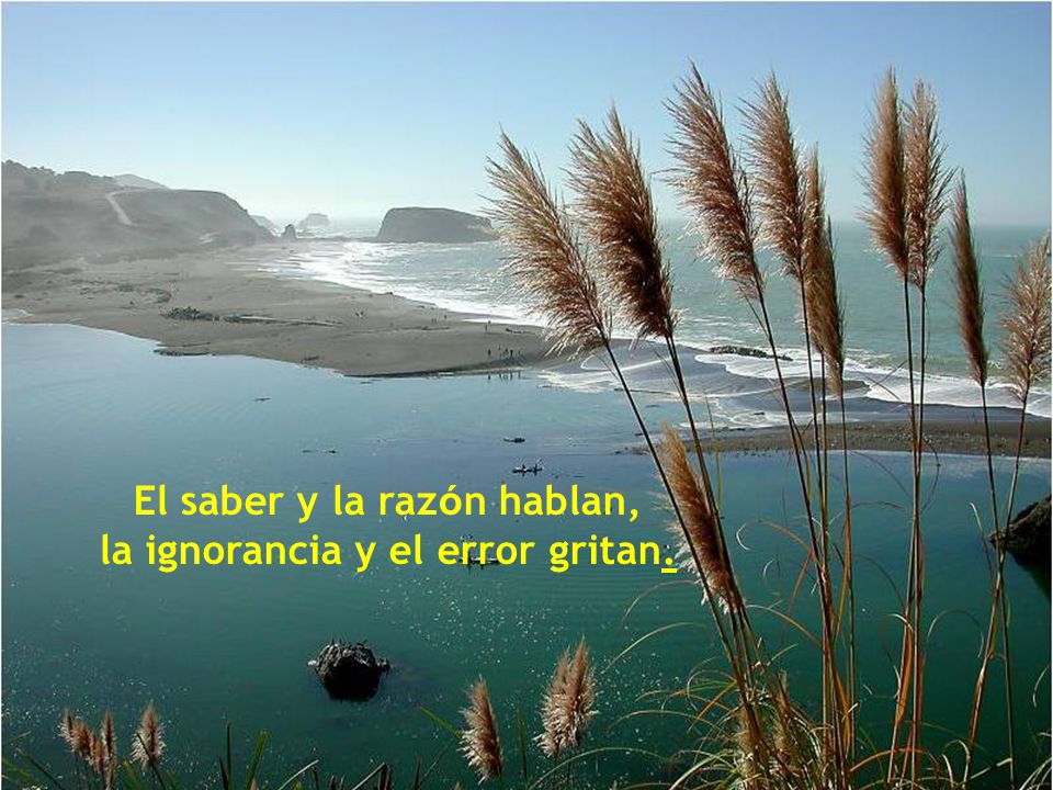 El saber y la razón hablan, la ignorancia y el error gritan.