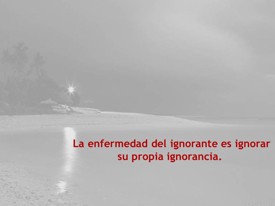 La enfermedad del ignorante es ignorar
