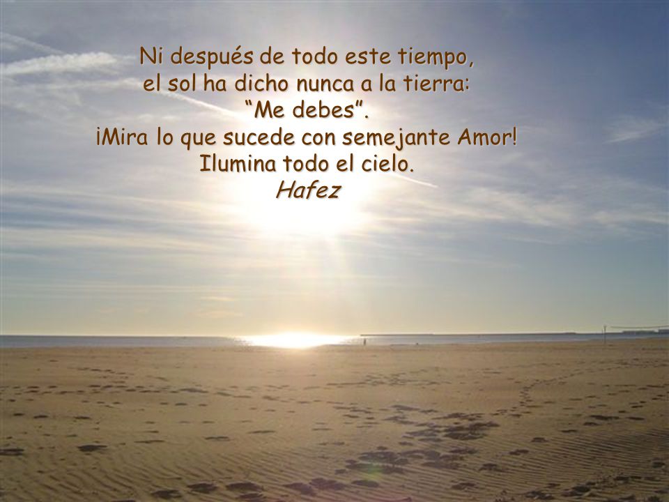Ni después de todo este tiempo, el sol ha dicho nunca a la tierra:
