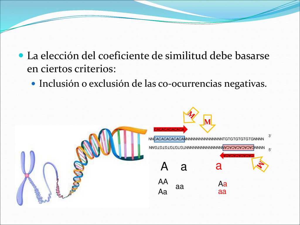 La elección del coeficiente de similitud debe basarse en ciertos criterios: